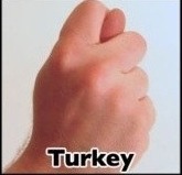 파일:Turkey.jpg