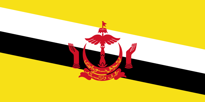 파일:브루나이의 국기.png