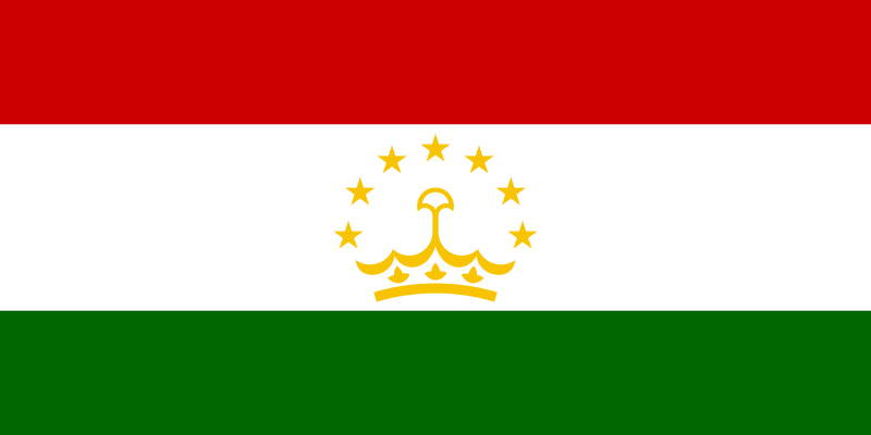 파일:타지키스탄의 국기.png