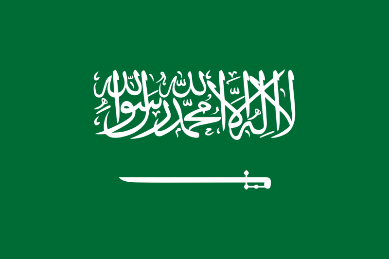 파일:사우디아라비아의 국기.png