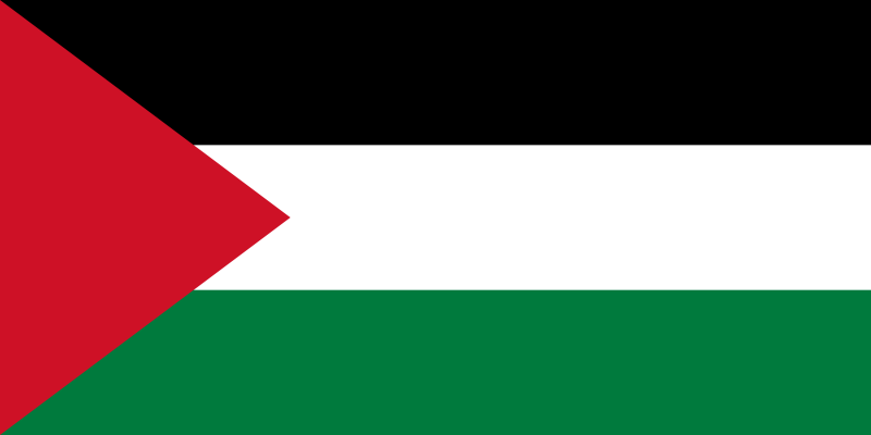 파일:팔레스타인의 국기.png