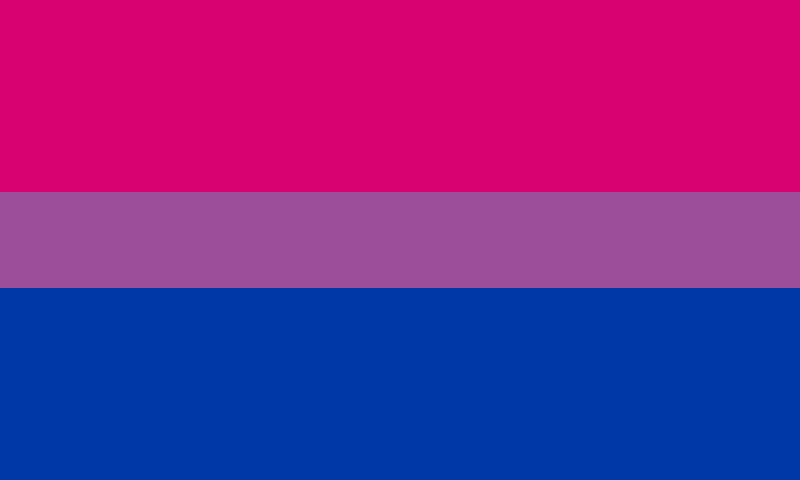 파일:양성애 깃발.png
