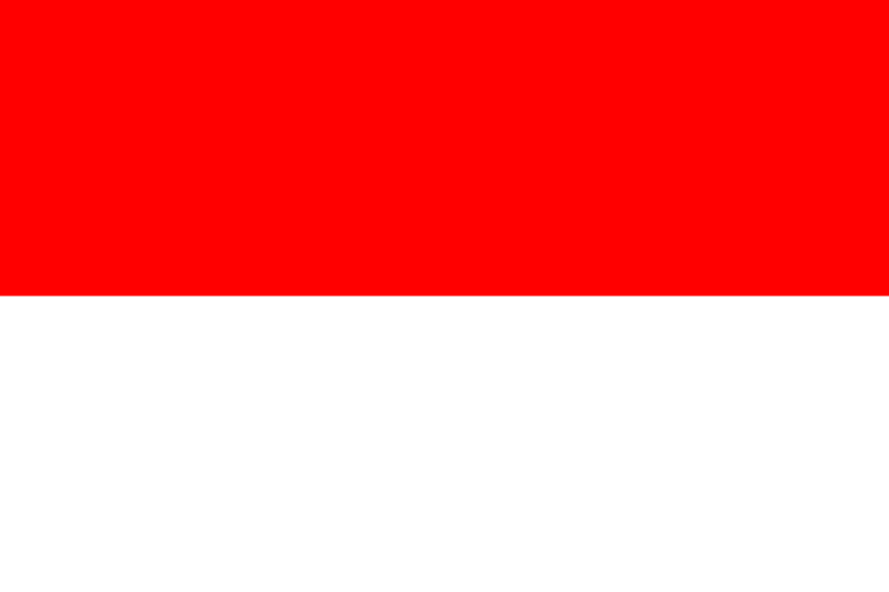 파일:인도네시아의 국기.png
