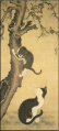조선시대 변상벽 슨상님이 그린 고양이.